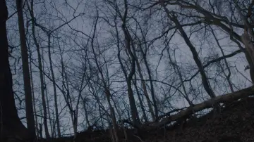 Backdrop to the movie "The Boy and The Other" #823587