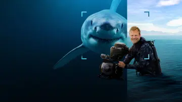 Backdrop to the movie "Sharks Up Close with Bertie Gregory" #792993
