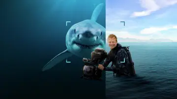 Backdrop to the movie "Sharks Up Close with Bertie Gregory" #792994