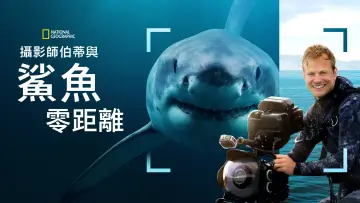 Backdrop to the movie "Sharks Up Close with Bertie Gregory" #793002
