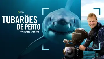 Backdrop to the movie "Sharks Up Close with Bertie Gregory" #793003