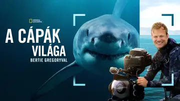 Backdrop to the movie "Sharks Up Close with Bertie Gregory" #793005