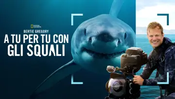 Backdrop to the movie "Sharks Up Close with Bertie Gregory" #793007