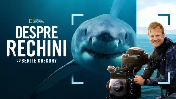 Backdrop to the movie "Sharks Up Close with Bertie Gregory" #793011