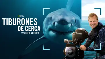 Backdrop to the movie "Sharks Up Close with Bertie Gregory" #793012