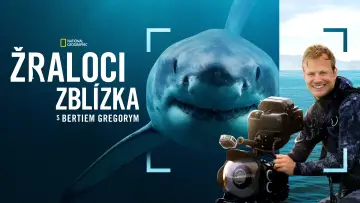 Backdrop to the movie "Sharks Up Close with Bertie Gregory" #793013