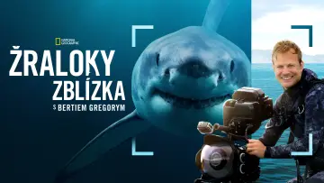 Backdrop to the movie "Sharks Up Close with Bertie Gregory" #793014