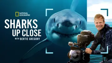 Backdrop to the movie "Sharks Up Close with Bertie Gregory" #793015