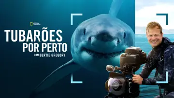 Backdrop to the movie "Sharks Up Close with Bertie Gregory" #793023