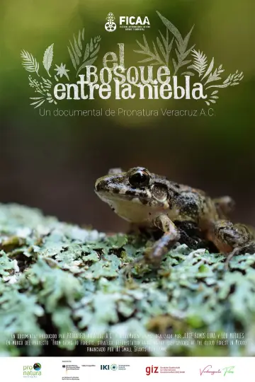 Poster to the movie "El bosque entre la niebla" #1169676