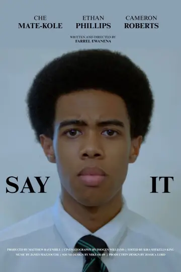 Poster to the movie "Say It" #1635121