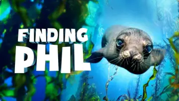 Backdrop to the movie "Finding Phil" #961704