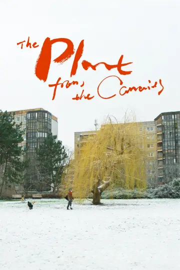 Poster to the movie "The Plant from the Canaries" #1142667