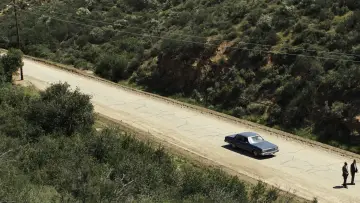 Backdrop to the movie "American Muscle" #1141642