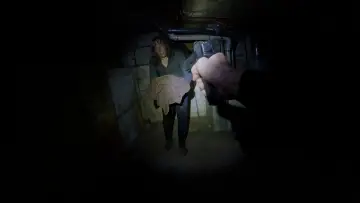 Backdrop to the movie "Bodycam" #763292
