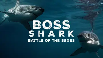 Backdrop to the movie "Great White Sex Battle" #981004