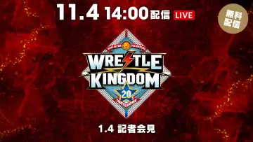 Backdrop to the movie "NJPW Wrestle Kingdom 20" #1295230