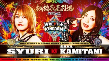 Backdrop to the movie "NJPW Wrestle Kingdom 20" #1295234