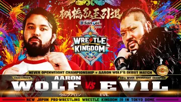 Backdrop to the movie "NJPW Wrestle Kingdom 20" #1295235