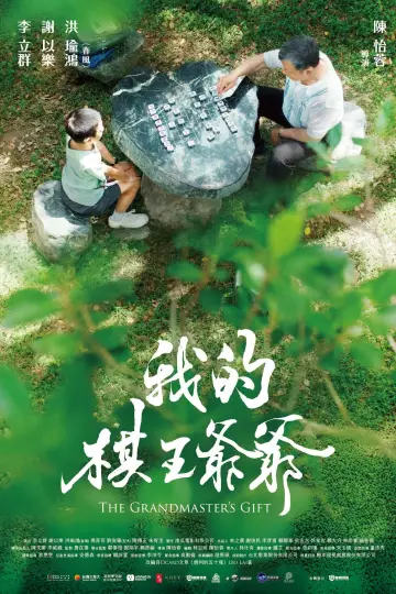 Poster to the movie "The Grandmaster
