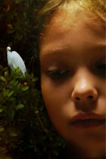 Poster to the movie "Laguna" #919693