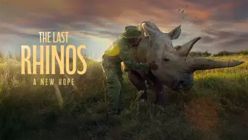 Backdrop to the movie "The Last Rhinos: A New Hope" #1583559