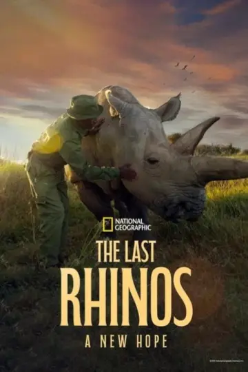 Poster to the movie "The Last Rhinos: A New Hope" #1583564