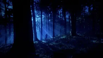 Backdrop to the movie "After the Ashes" #1190896