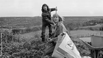 Backdrop to the movie "Vår gröna dröm" #938147