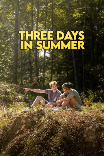 Three Days in Summer poster