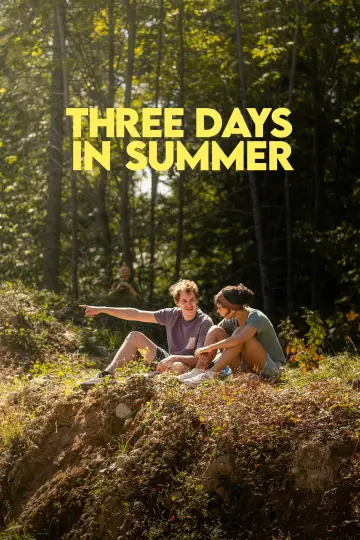 Poster to the movie "Three Days in Summer" #1177124