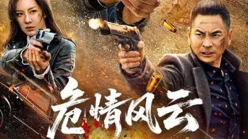 危情风云 poster