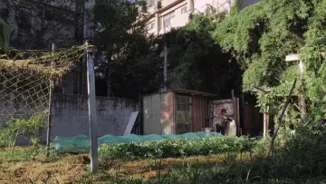 Backdrop to the movie "The Paperflower Still Blooms" #1159224