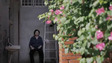 Backdrop to the movie "The Paperflower Still Blooms" #1159225