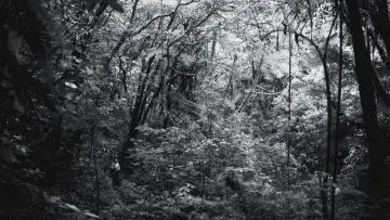 Backdrop to the movie "The Reserve" #1624998