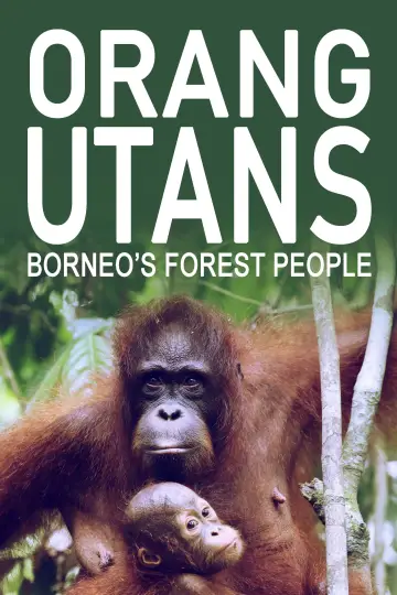 Poster to the movie "Orang Utans - Keepers of the Jungle" #922243