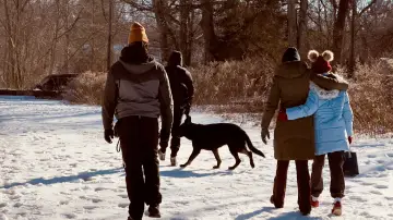 Backdrop to the movie "Not My Dog" #1533229