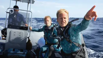 Backdrop to the movie "Dolphins Up Close with Bertie Gregory" #980082