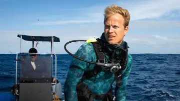 Backdrop to the movie "Dolphins Up Close with Bertie Gregory" #980084