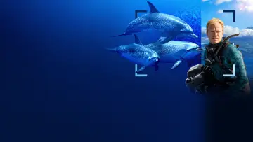 Backdrop to the movie "Dolphins Up Close with Bertie Gregory" #980086