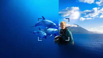 Backdrop to the movie "Dolphins Up Close with Bertie Gregory" #980087