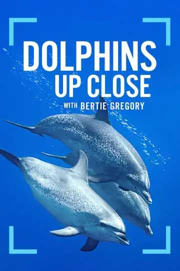Poster to the movie "Dolphins Up Close with Bertie Gregory" #980098