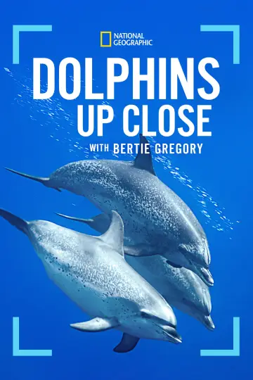 Poster to the movie "Dolphins Up Close with Bertie Gregory" #980099