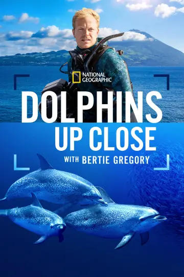 Poster to the movie "Dolphins Up Close with Bertie Gregory" #980100