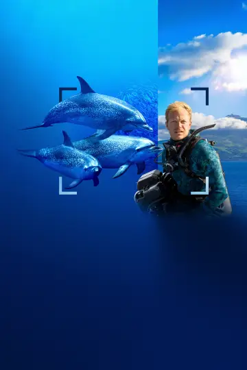 Poster to the movie "Dolphins Up Close with Bertie Gregory" #980101