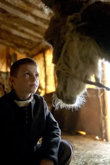 Poster to the movie "The Beauty of the Donkey" #820765