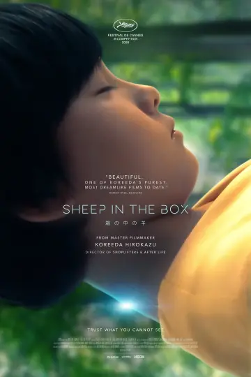 Poster to the movie "Sheep in the Box" #952533