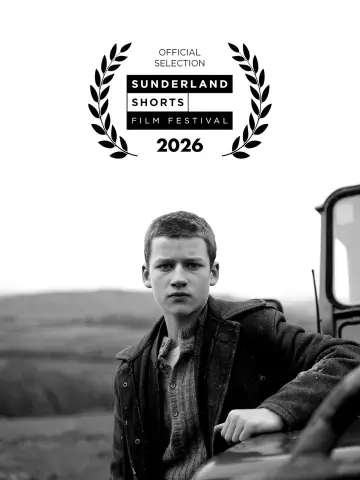 Poster to the movie "Flock" #1650997