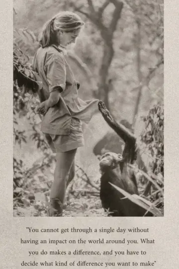 Poster to the movie "Famous Last Words: Dr. Jane Goodall" #1524269