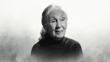 Backdrop to the movie "Famous Last Words: Dr. Jane Goodall" #697412